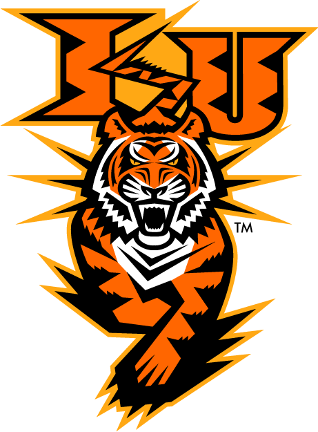 Idaho State Bengals 1997-Pres Alternate Logo v2 diy iron on heat transfer
